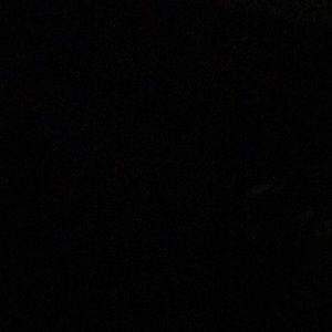 Meet your Posher, Ricky